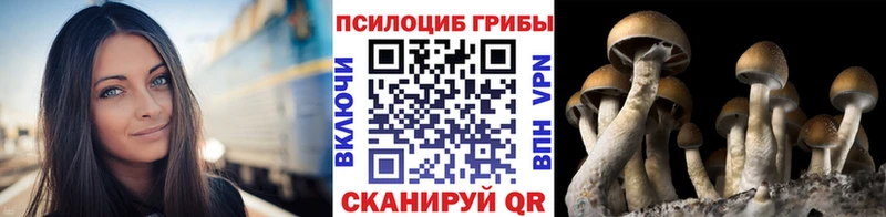 Псилоцибиновые грибы MAGIC MUSHROOMS купить Углегорск